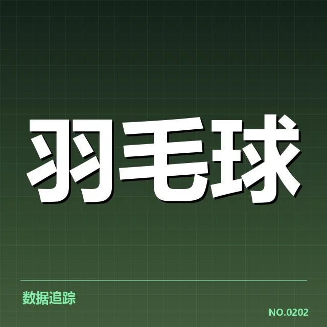 林丹确认的伤病情况和赛事数据